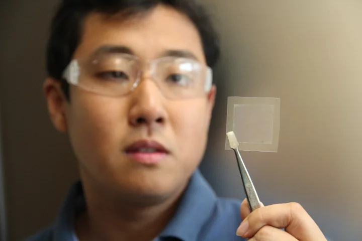 Researchers at the CSIRO claim to have developed a way to make graphene quickly and cheaply from soy beans, and without the need for the exotic gases or complex production techniques currently used to create the wonder material
