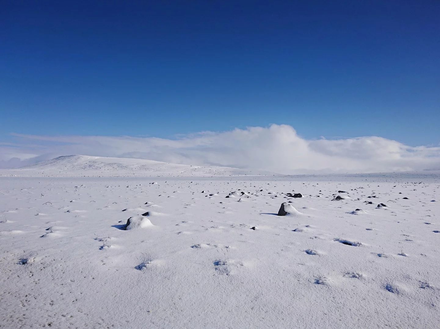 A submission from Grand Prize winner Dominika Koszowska's body of work. Shot with a Sony Xperia