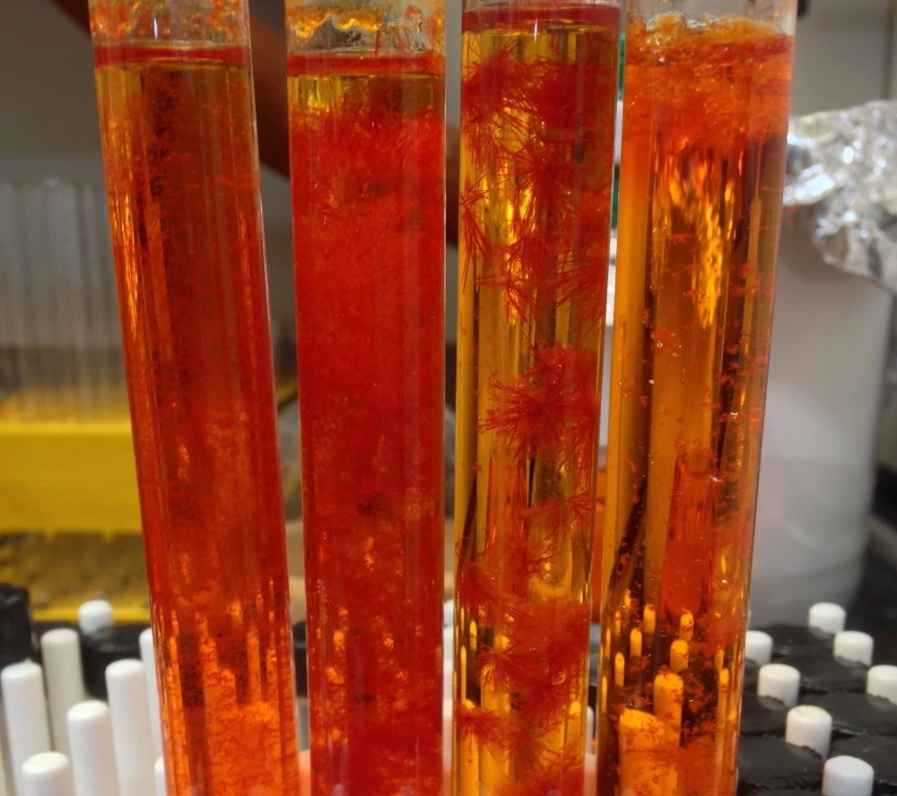 DSFO+, a molecule seen here in crystal form, has been used to boost the power generated by the contaminant-consuming bacteria, Shewanella oneidensis