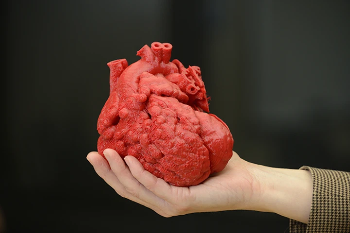 Built in three pieces using a flexible filament, the 3D-printed heart reportedly took around 20 hours and cost US$600