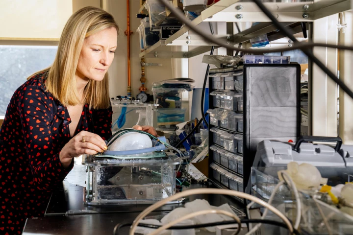 Lead scientist Ellen Roche works with the soft robotic implantable ventilator