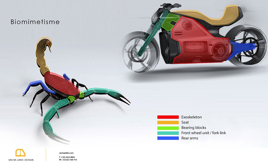 Comparison of the Voxan Wattman's design with that of a scorpion (Photo: Voxan Motors)