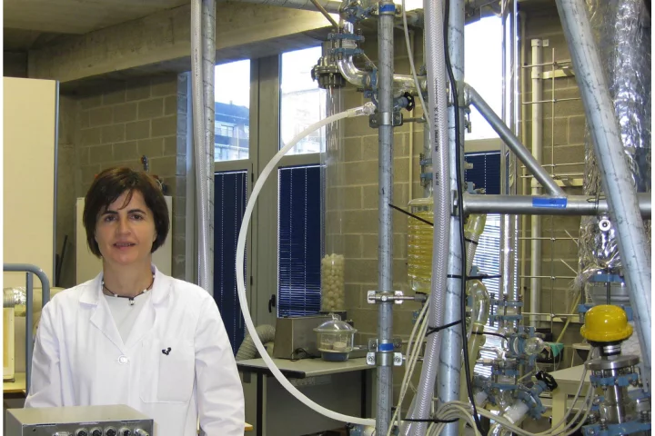 A good breakdown ... author of the thesis on using a technique called pyrolisis to decompose tires, Maria Felisa Laresgoiti Perez