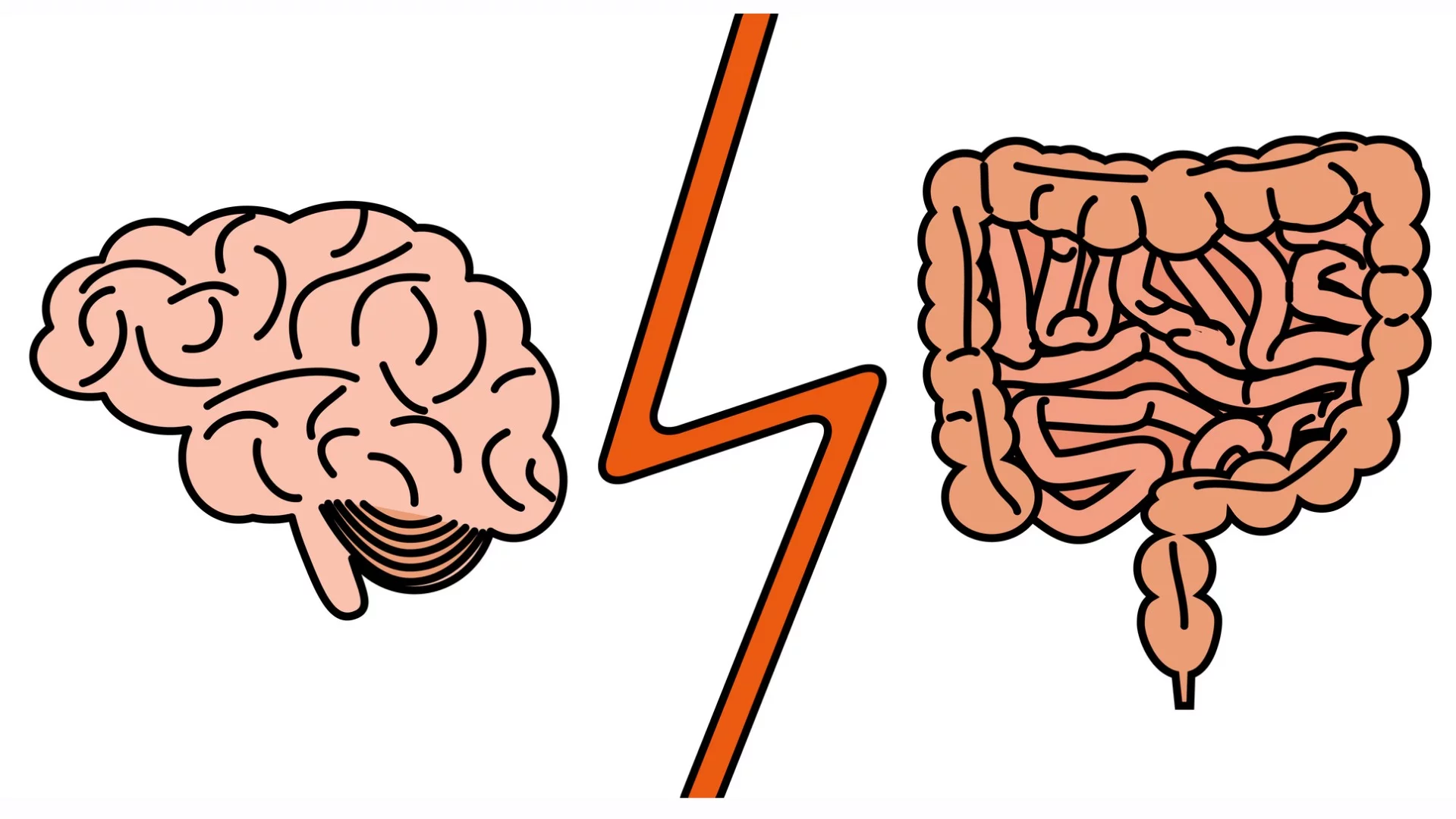 Our "gut instinct" may be more literal than we thought, with memories of where the best food is found potentially mediated by signals from our gut to the hippocampus