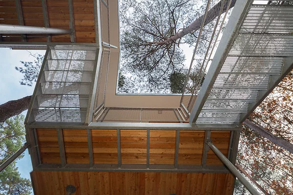 A winding staircase wraps its way around tree trunks to provide access to the center