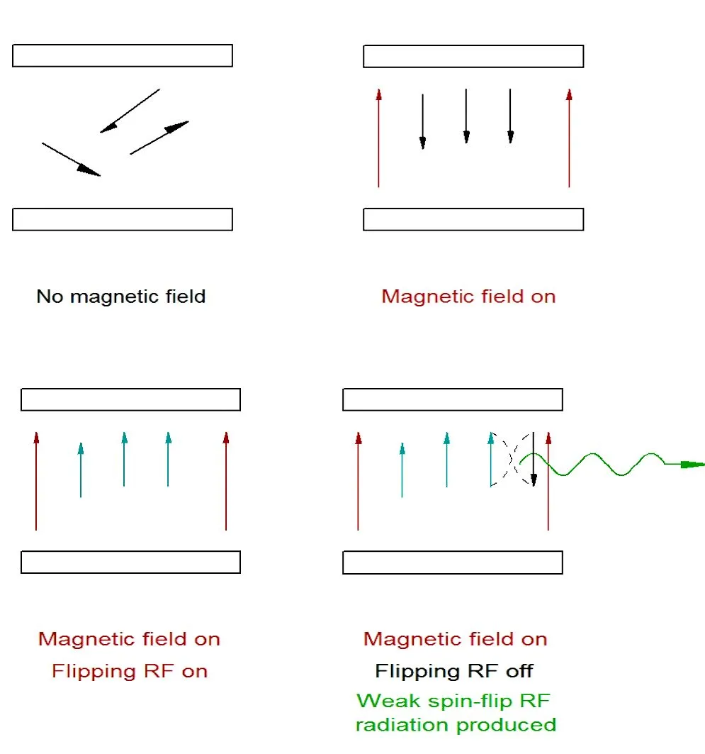 Generation of weak RF spin-flip radiation during MRI imaging (Image: Brian Dodson)