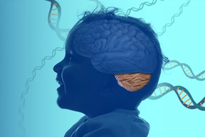 Illustration of a child with the brain visible