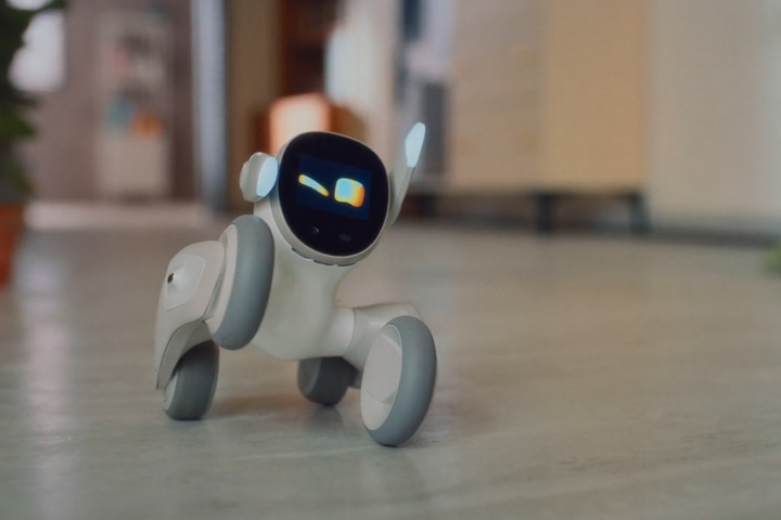 Loona is a pet robot that's very expressive