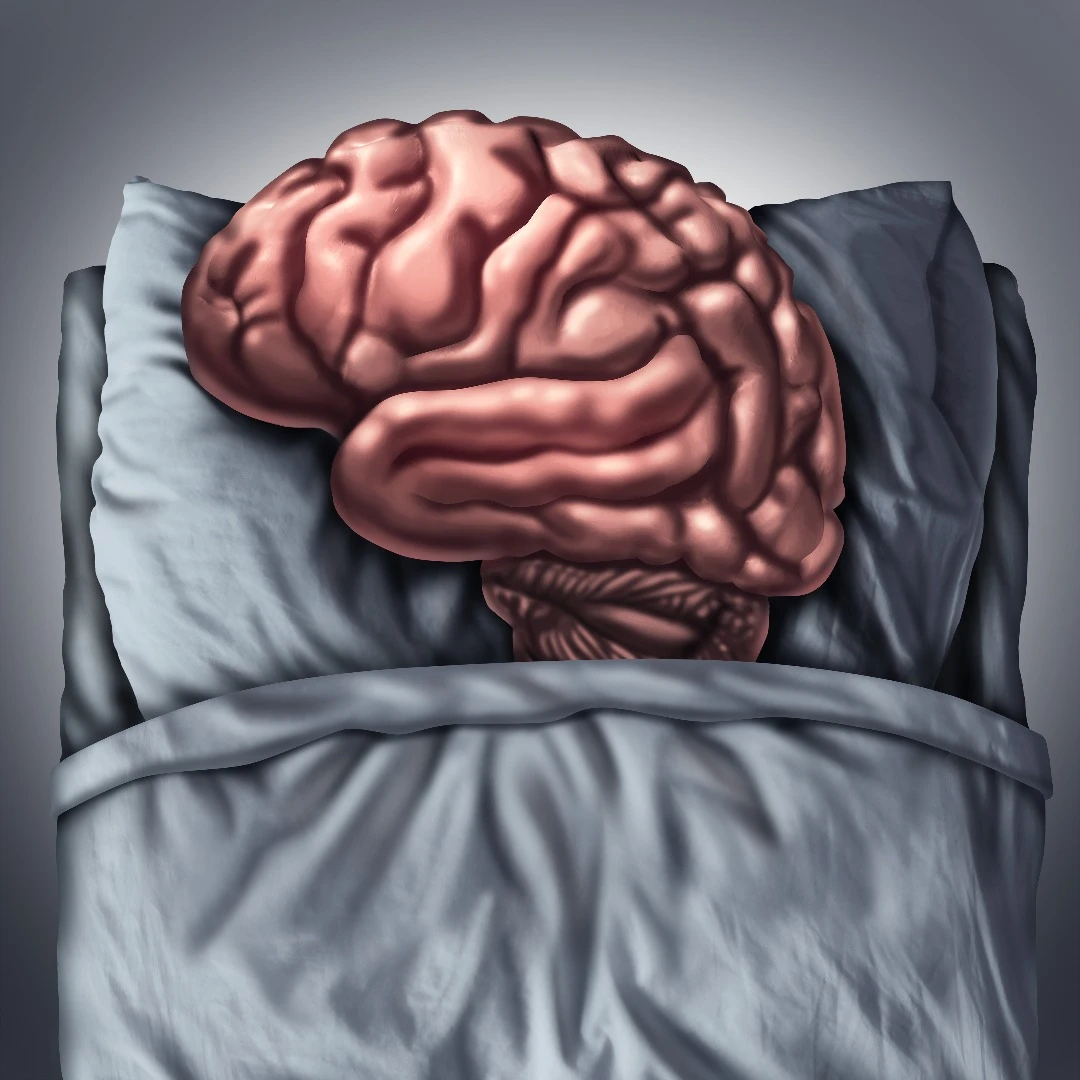 Stanford scientists have found different sections of the brain fall asleep and wake up constantly
