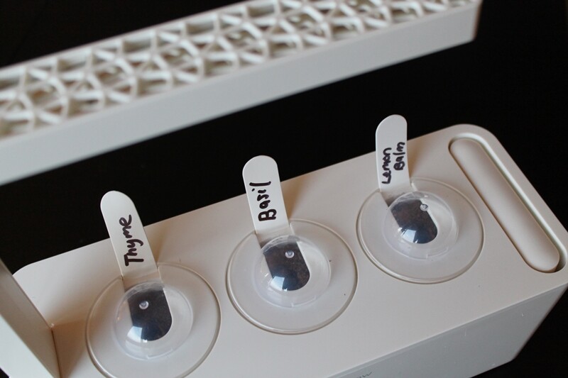 Click and Grow says the herbs take about six weeks to grow to a good size