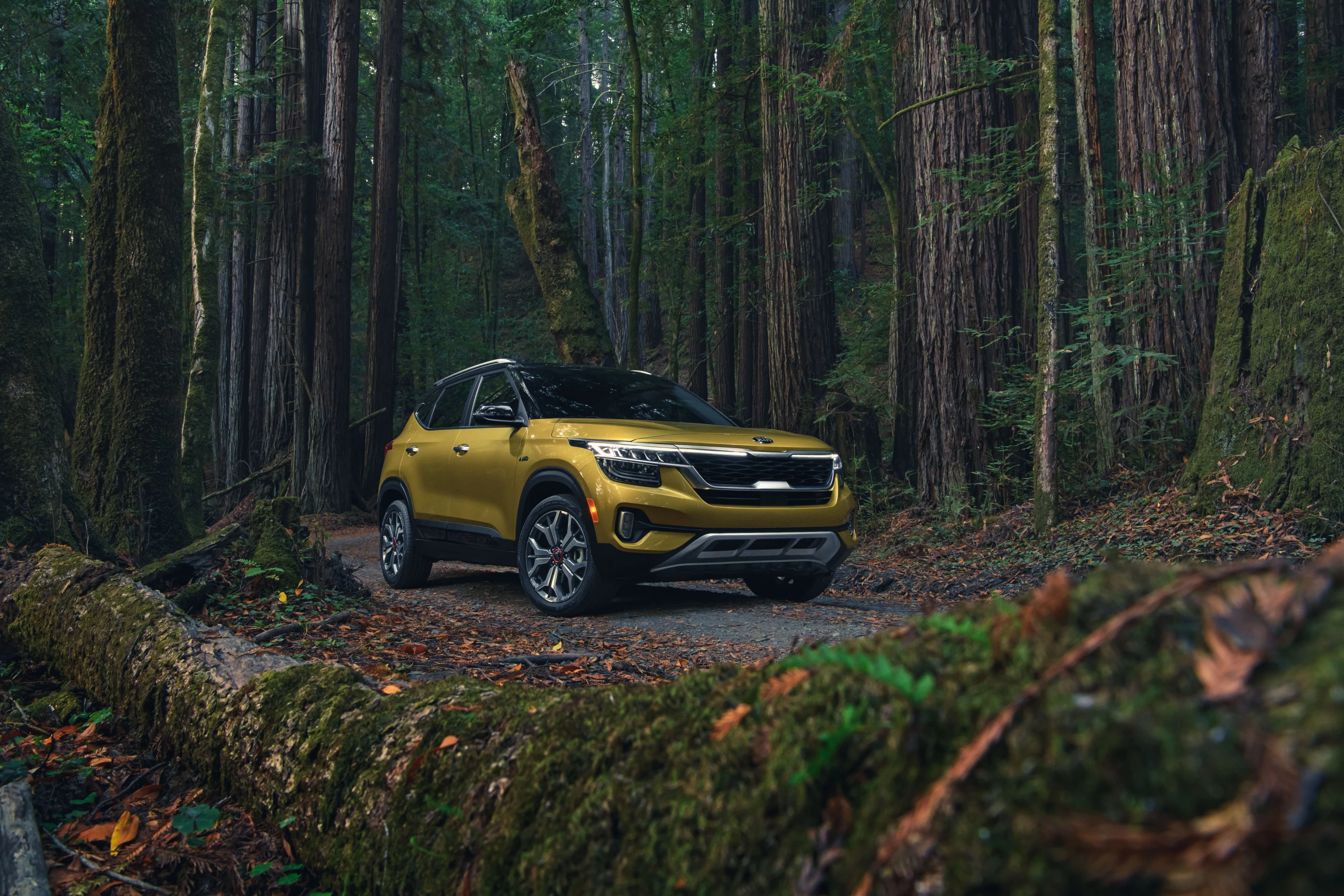 The Seltos certainly isn't a rugged off-roader, but with all-wheel drive, over 7 in of ground clearance, and integrated skid protection, it's not the worst choice to shuttle you to your favorite trailhead