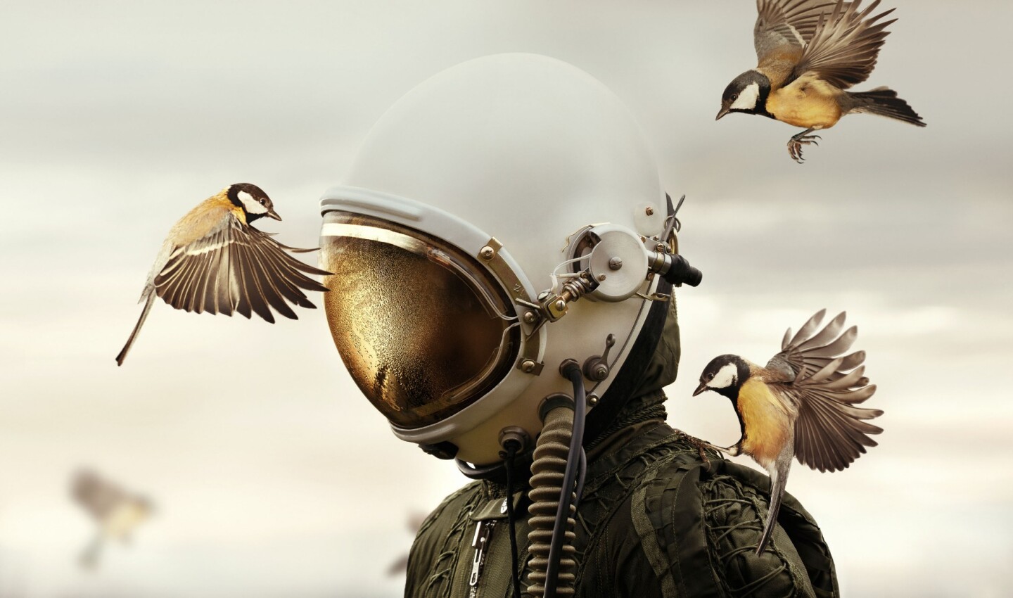 Dreamers and Warriors - 1st place winner in the National Awards for the Czech Republic and Overall winner in the Creative category