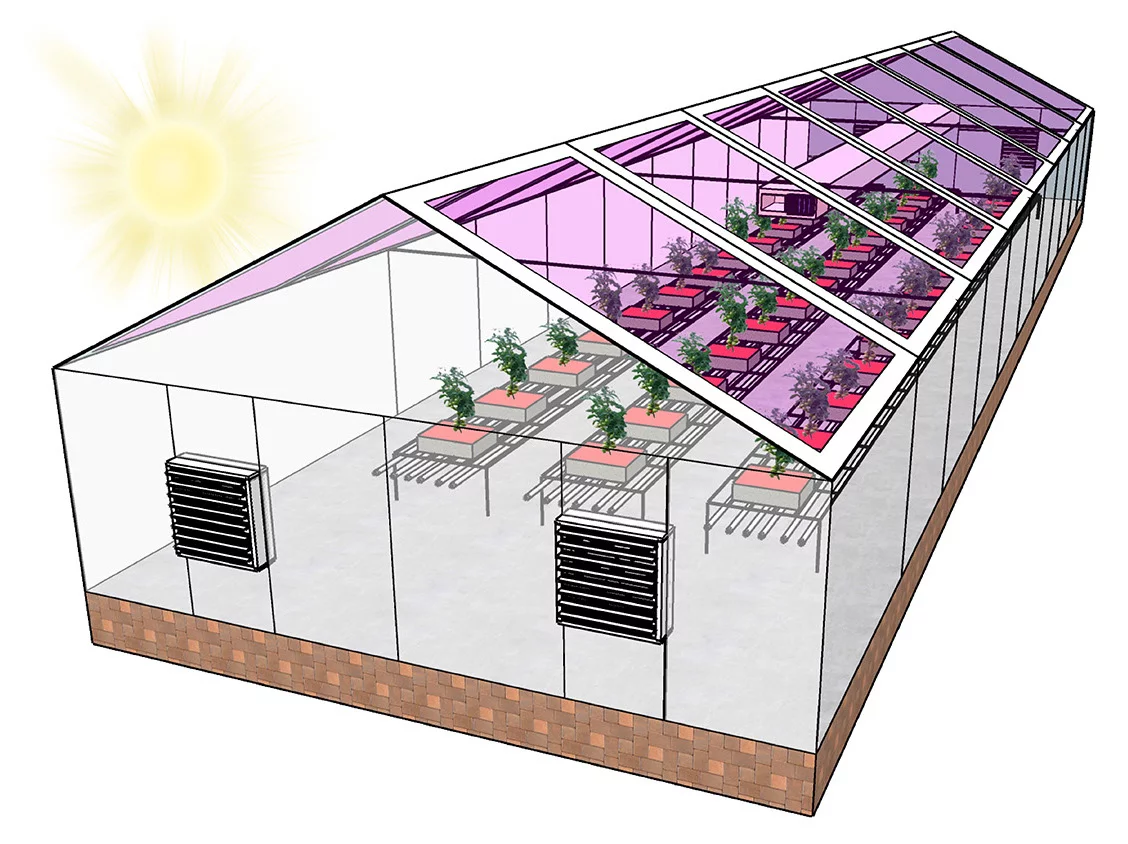 A diagram of a greenhouse with organic solar cells built into the glass panels in the roof