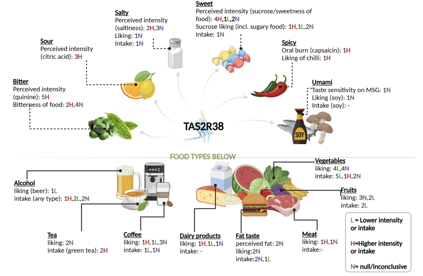 Key findings from the literature on the association between TAS2R38 genotype and phenylthiocarbamide/propylthiouracil taste perception and dietary behavior