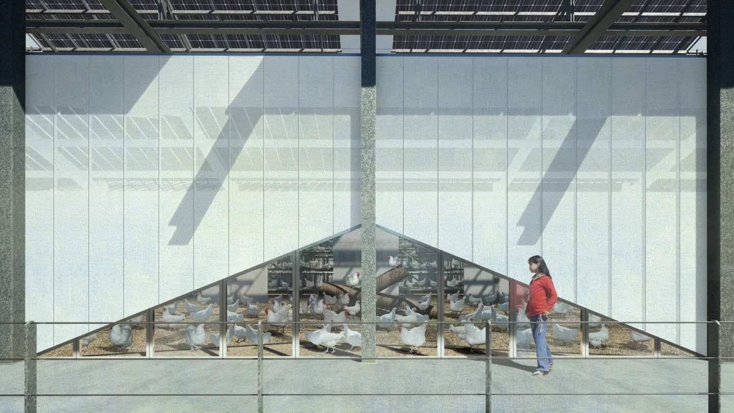 Floating Farm Poultry will house roughly 7,000 hens and its semi-transparent facade will allow visitors to have a look at what's going on inside
