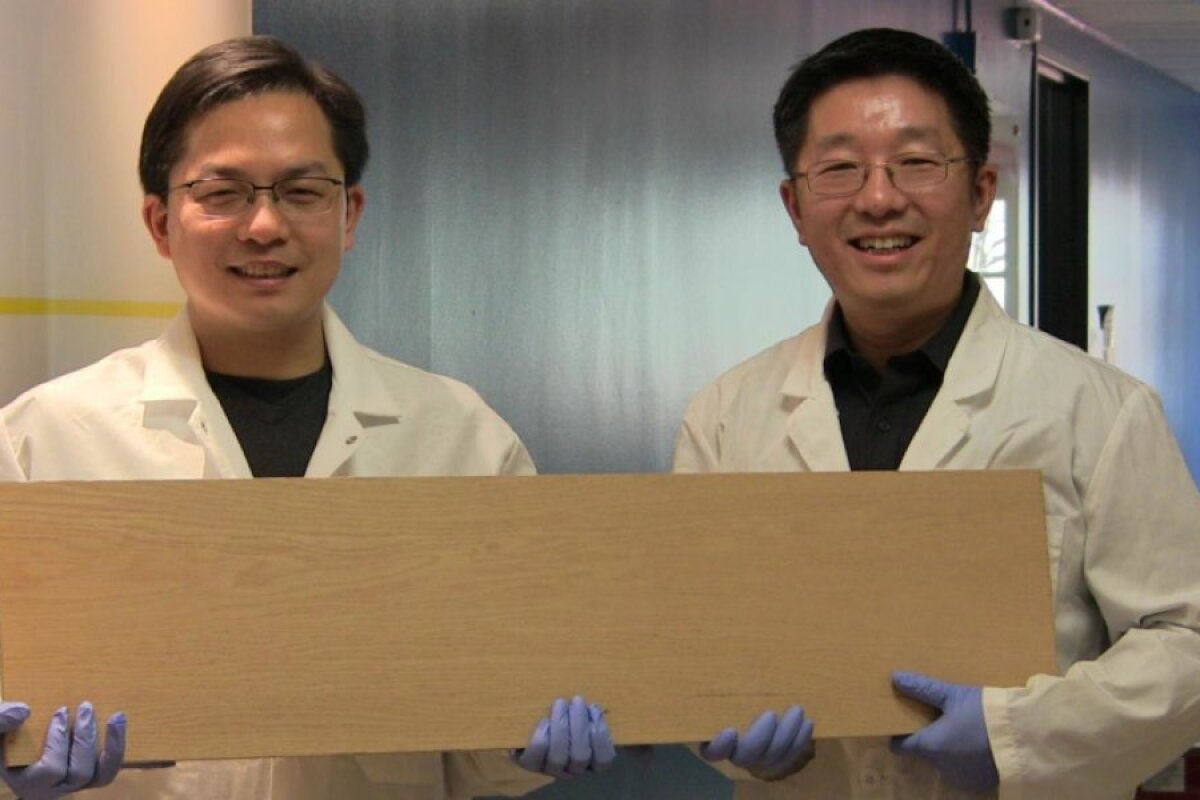 A new densification process can make "super wood" that's 12 times stronger than natural wood