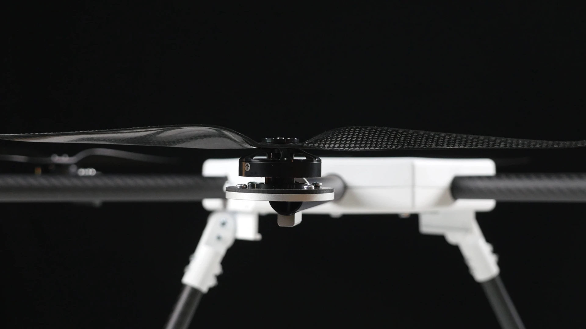 Pre-orders are being taken for Pegasus