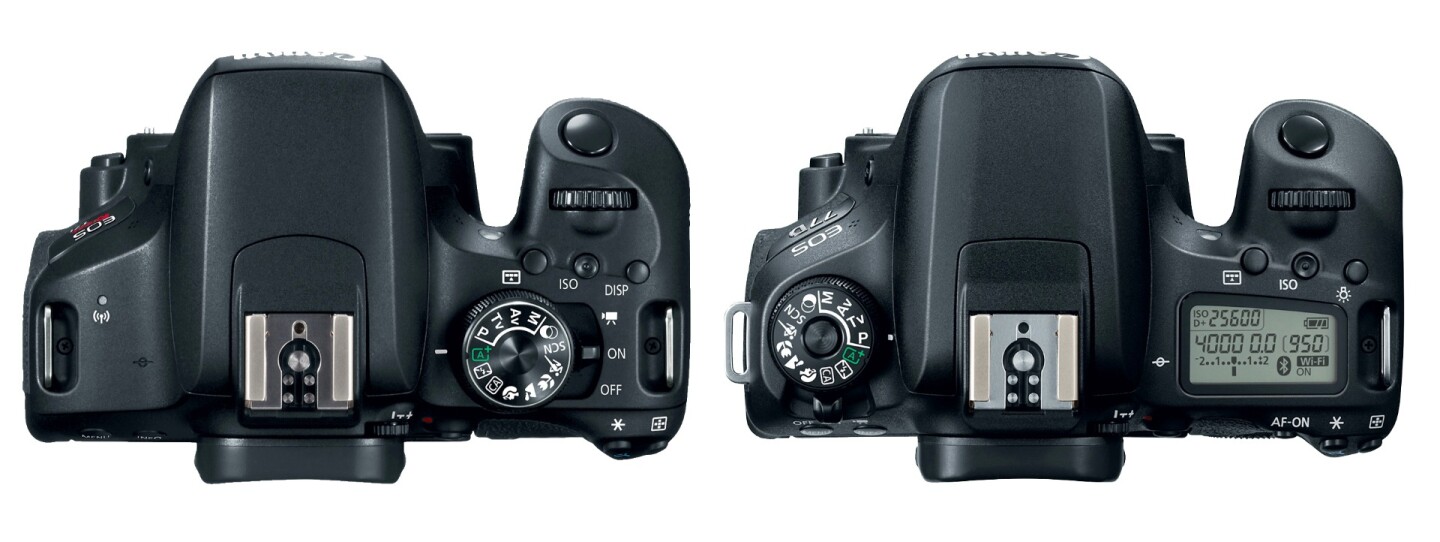 The Canon EOS 77D (right) benefits from a top LCD panel compared to the EOS 800D (the Rebel T7i in the US)
