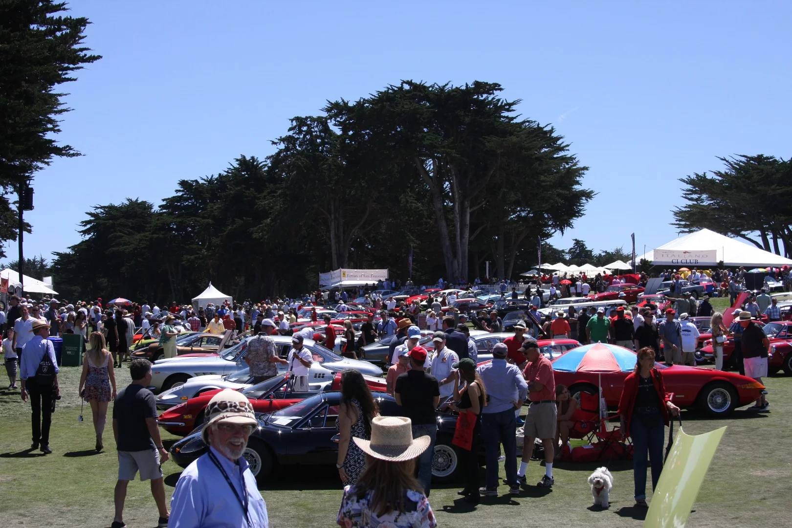 A big crowd at The Concorso Italiano