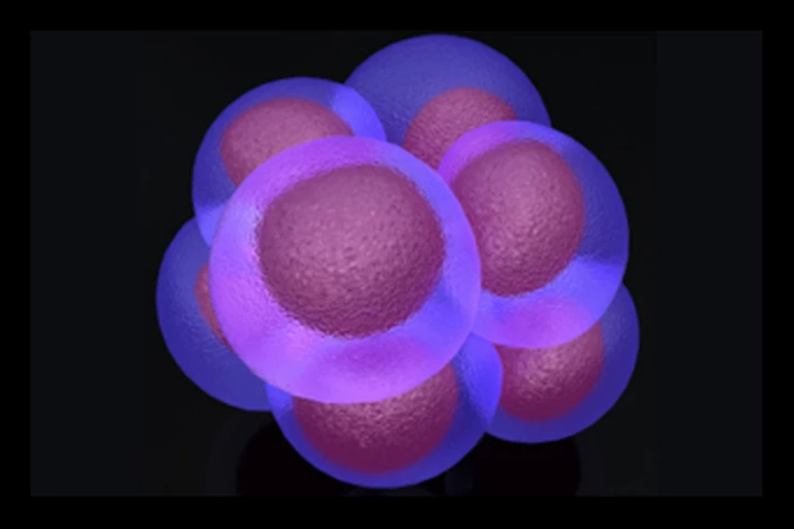 Researchers at the Yale School of Medicine hope that by eliminaing certain stem cells within ovarian tumors will lead to more successful treatment of the disease