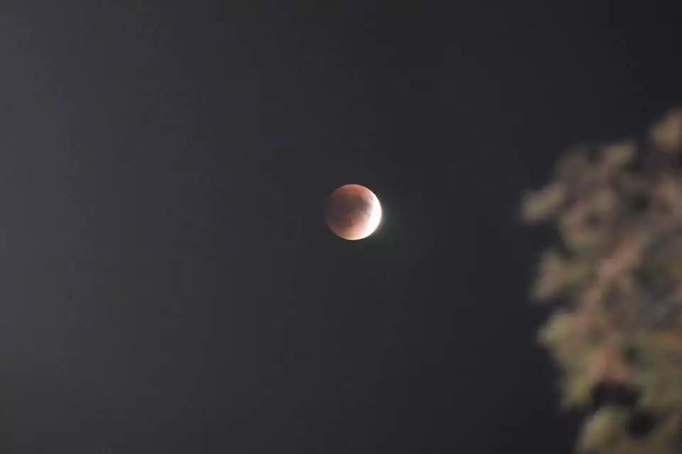 Blood Moon as captured by Sandi Patnode in Liverpool, NY