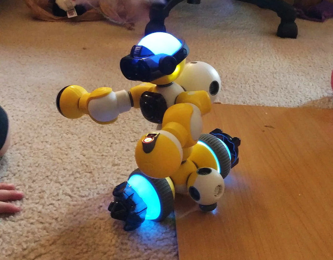 The Bell Robot Mabot kit is so easy to build with that my 6-year-old was able to make this robot in about ten minutes using only graphical instructions included with the Mabot Go app