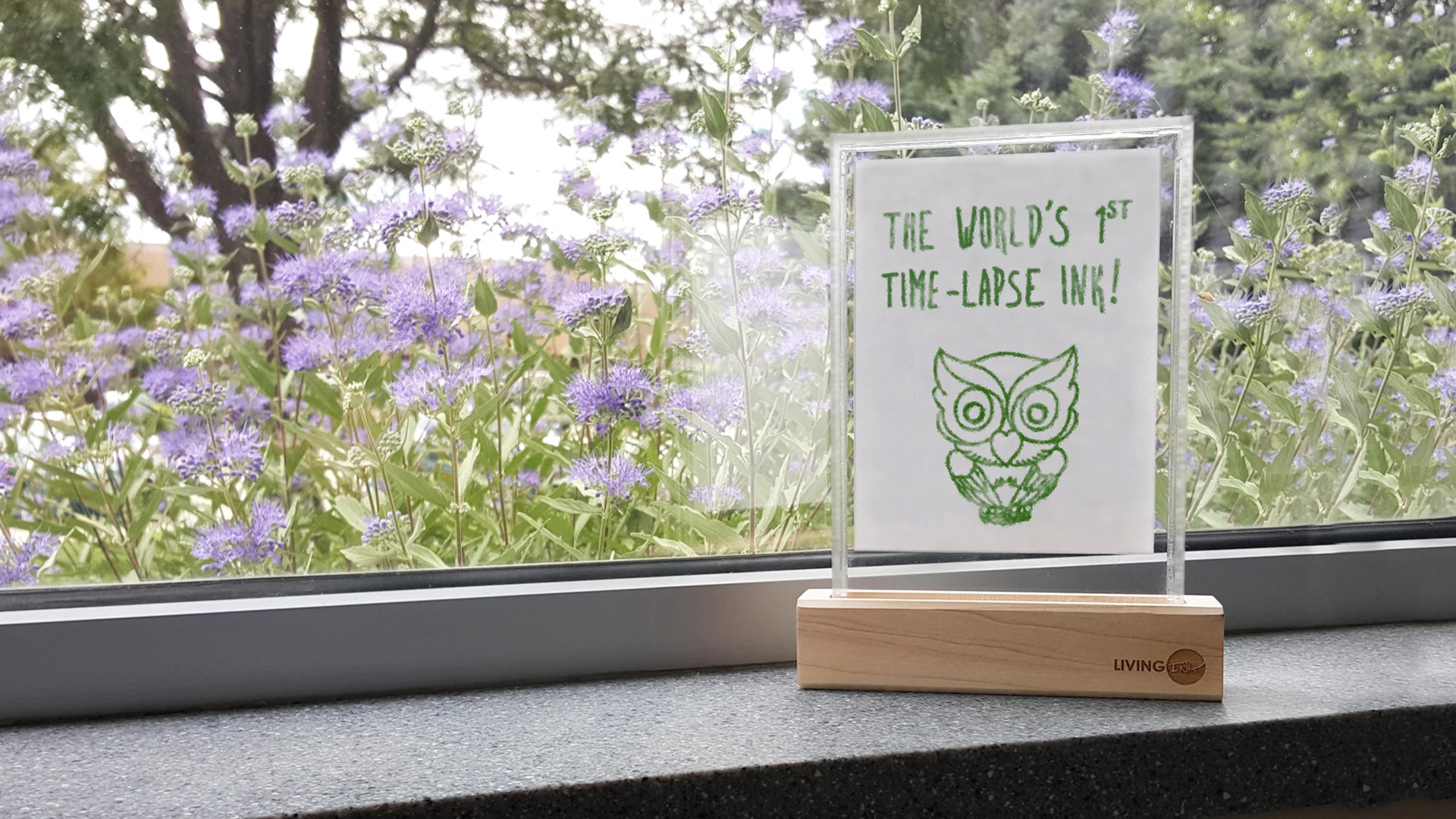 Living Ink is an algae-based ink that grows over time