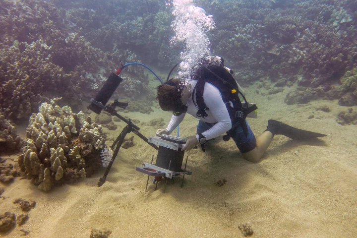 Marine researcher studying coral micro-organisms with the Benthic Underwater Microscope developed by scientists at Scripps Institution of Oceanography, UC San Diego