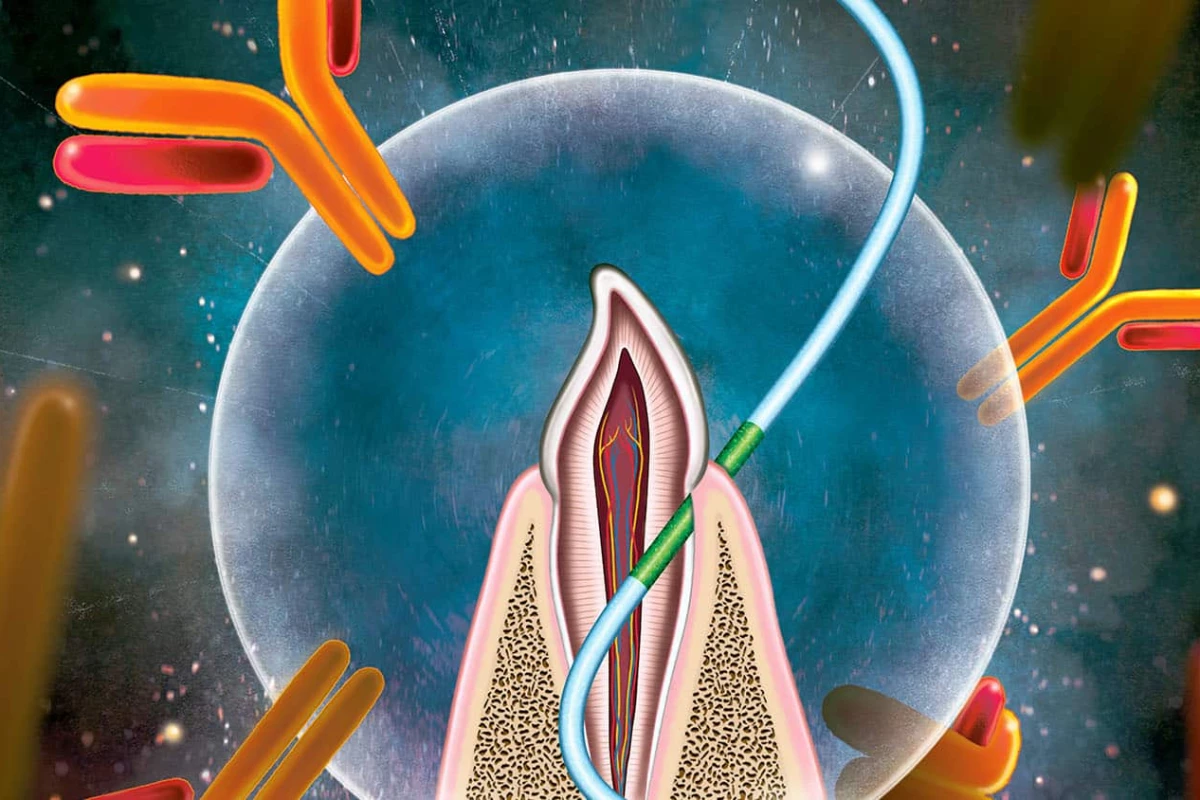 The fascinating proof-of-concept study demonstrated how vaccines could be effectively delivered via dental floss