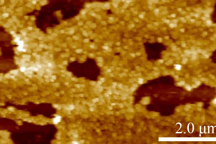 Plastic antibodies, such as this cluster of particles, may fight a wide range of human diseases (Image: Kenneth Shea)