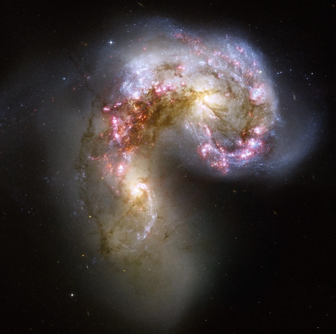 This Hubble image of the Antennae galaxies is the sharpest yet of this merging pair of galaxies. As the two galaxies smash together, billions of stars are born, mostly in groups and clusters of stars. The brightest and most compact of these are called super star clusters (Credit: NASA, ESA, and the Hubble Heritage Team (STScI/AURA)-ESA/Hubble Collaboration. Acknowledgement: B. Whitmore ( Space Telescope Science Institute) and James Long (ESA/Hubble)
