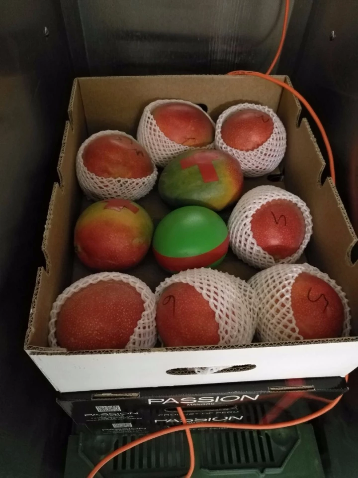 Which one of these things isn't a mango?