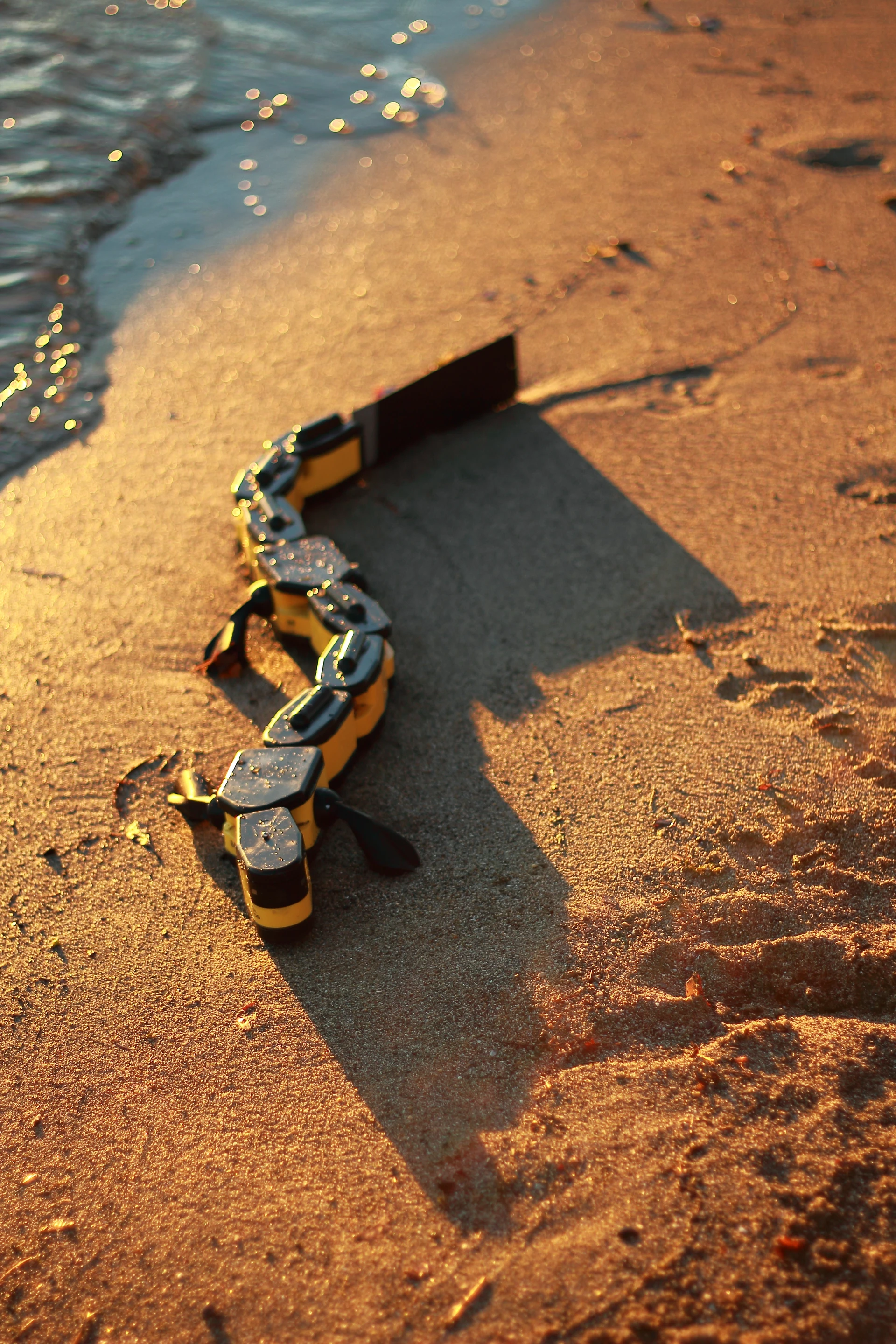 This newest version of the Salamandra robotica includes several improvements, such as a faster swimming speed, foldable limbs, and enhanced microcontrollers that better simulate neural pathways and muscle coordination (Photo Credit: Kostas Karakasiliotis, Biorobotics Laboratory, EPFL)