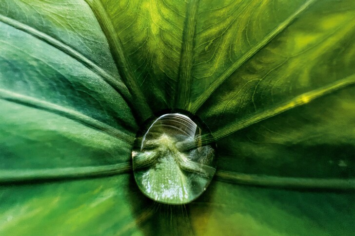 “Hidden Gem” by Jirasak Panpiansin, Chaiyaphum City, Thailand