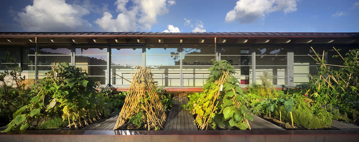 Honolulu's Island Residence was also designed by Bohlin Cywinski Jackson and is dominated by deep roof eaves which extend outward, providing shelter and prolonging the lifespan of the materials underneath