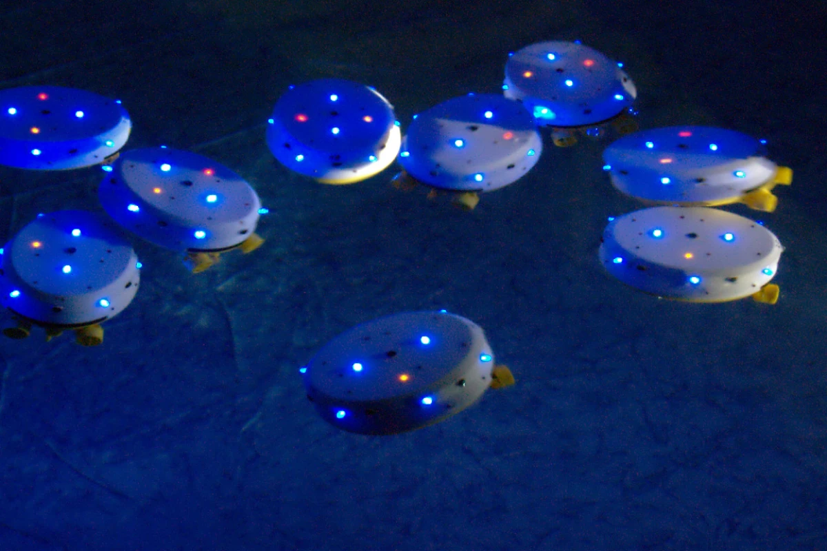 A group of "Lily" CoCoRo robots communicate with one another using their LEDs
