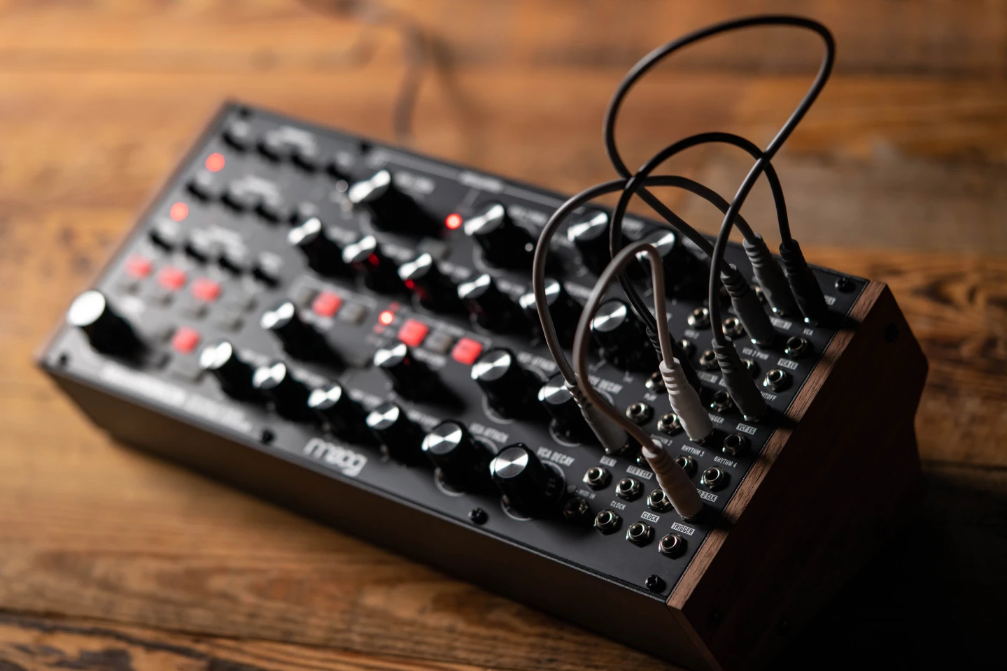 Users don't need to use patch cables, but the Subharmonicon's capabilities can be expanded by doing so