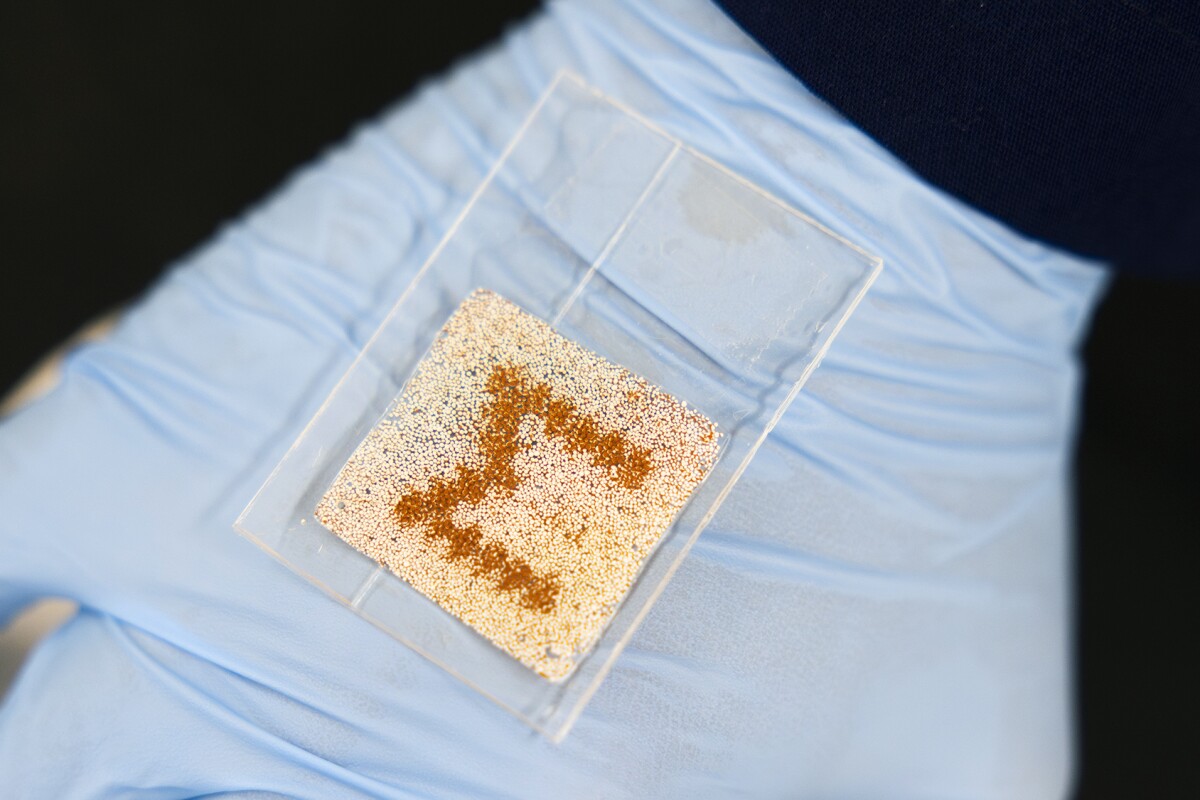 Researchers, inspired by the color-changing skin of squids and other cephalopods, have created a flexible screen that stores and displays encrypted images using only magnetic particles, without any electronics.