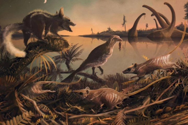 An artist's impression of the newly discovered species, which may be among the oldest ancestors of the mammaianl line that includes humans