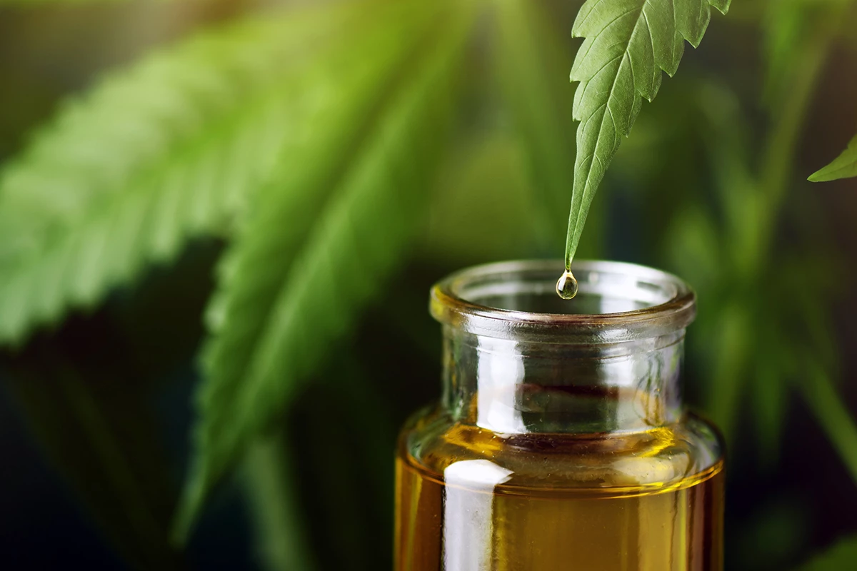 Topical cannabinoids quickly and effectively kill off potentially deadly fungal infections