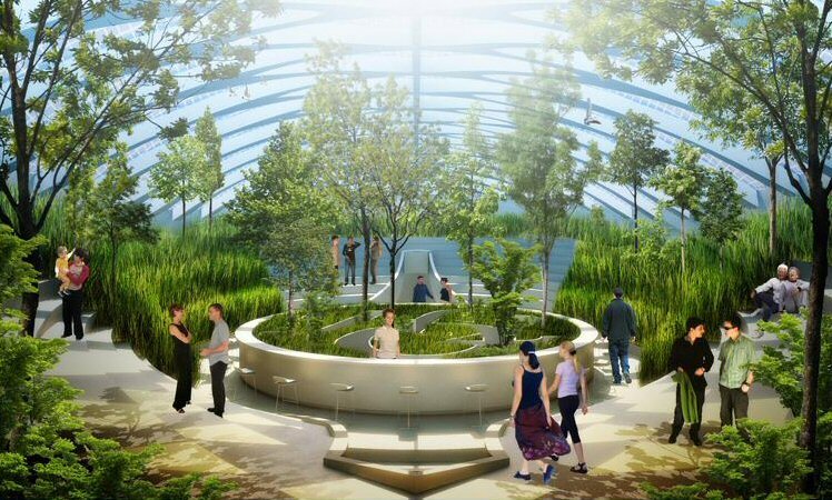 The air garden aboard Physalia