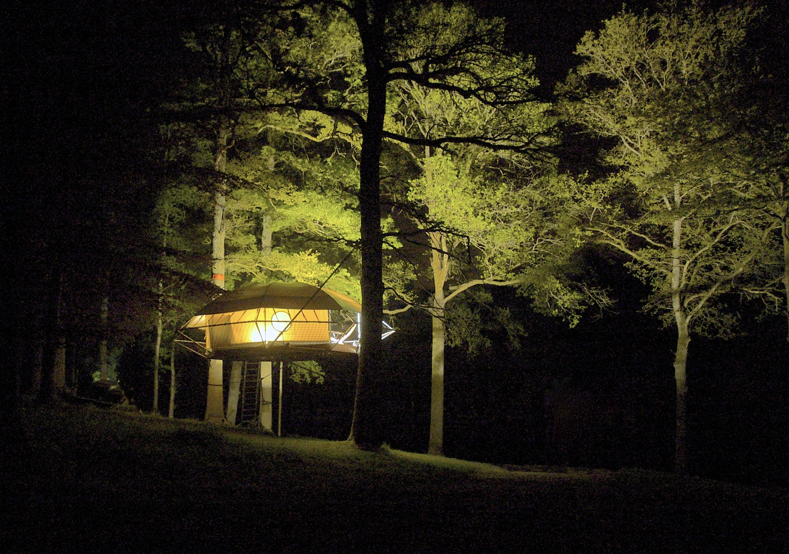 Dom'Up is an tree shelter that's reported easy to install and leaves no trace or impact on its surrounding environment and trees