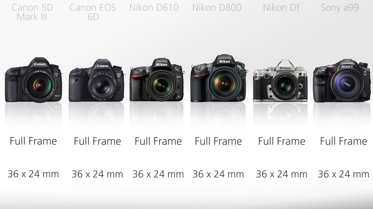 All of the cameras in this line-up feature a large full frame sensor