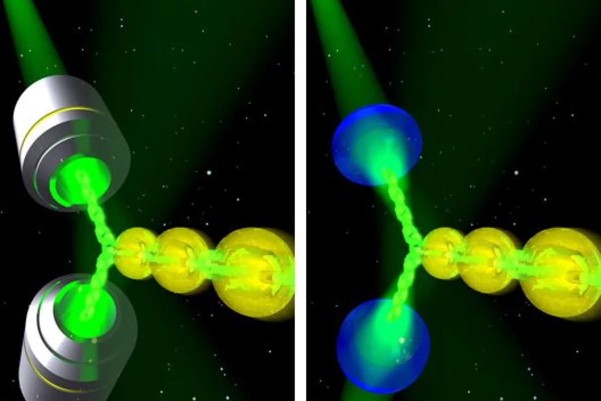 A team led by the University of St. Andrews has turned a laser into a tractor beam that works on the microscopic level