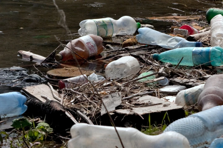 Scientists are working to make tougher biodegradable plastics from plants (Image: Horia Varlan via flickr)