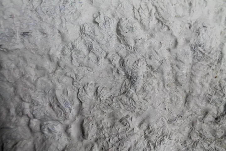 A close-up view of one of the building panels