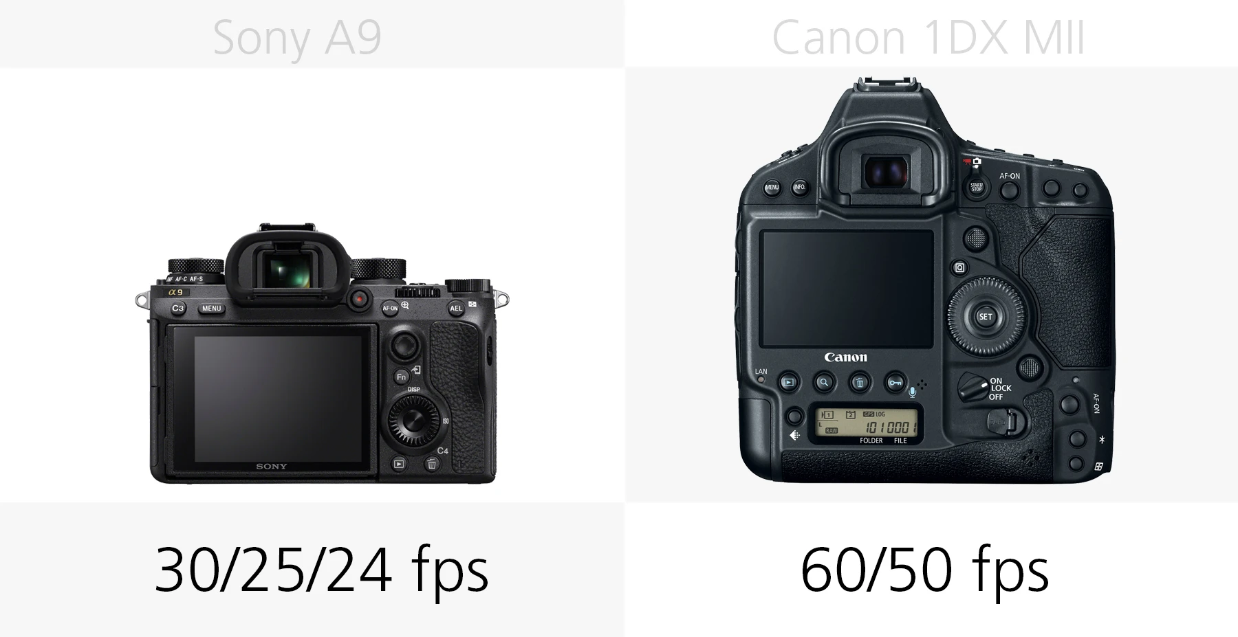 Comparing the 4K video frame-rates of the Sony A9 and Canon 1DX Mark II
