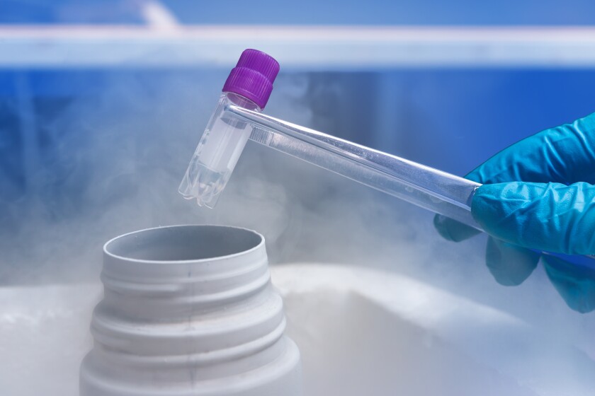 Grow-your-own stem cells may repair Parkinson’s damage Grow-your-own stem cells may repair Parkinson’s damage