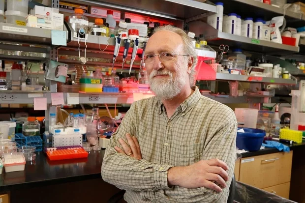 James Ferrell professor of chemical and systems biology at Stanford has identified "trigger waves" in the creep of cellular death