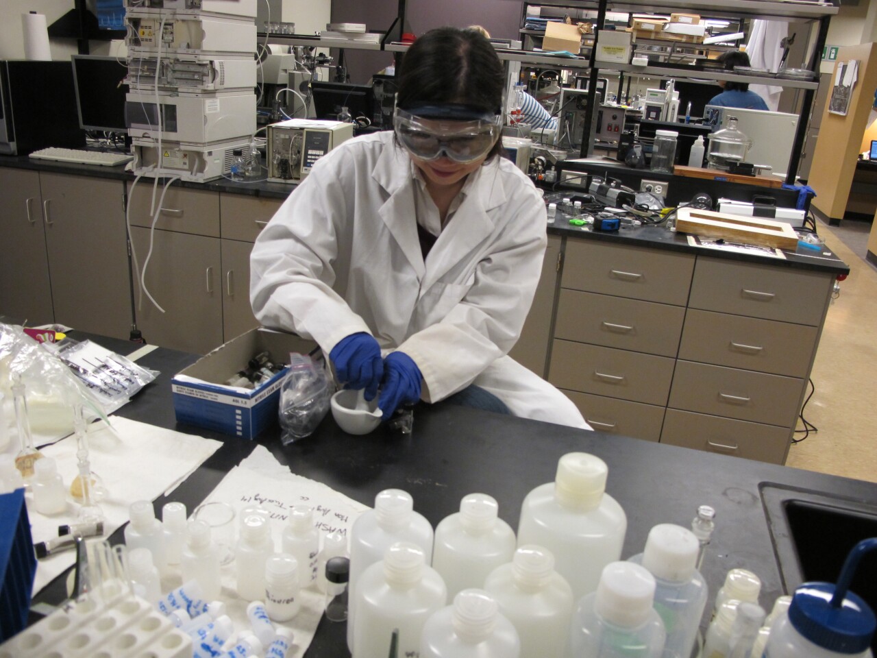 Lily Huang grinds hair samples for analysis (Photo: Anne Craig)